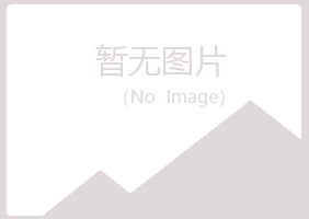 昌都县雅山能源有限公司